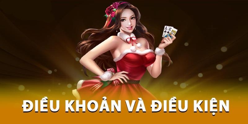 Tổng hợp về điều khoản điều kiện nhà cái